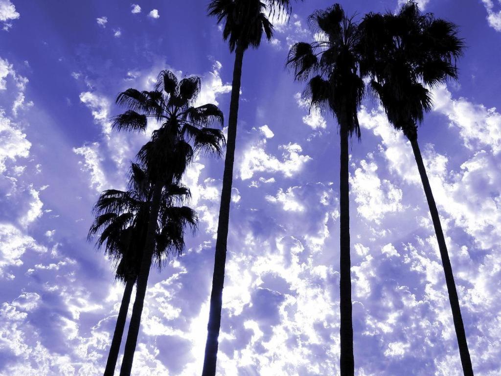 Hotel Parker Palm Springs Zewnętrze zdjęcie