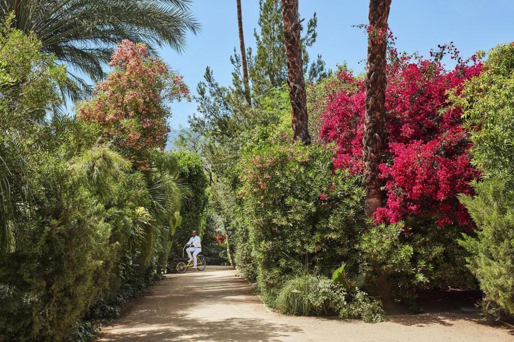 Hotel Parker Palm Springs Zewnętrze zdjęcie